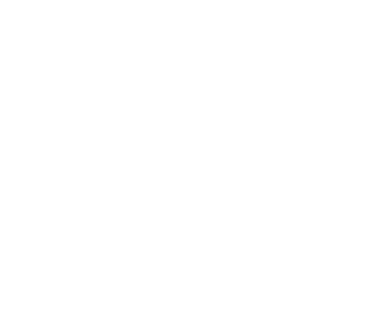 The Fresh Feast